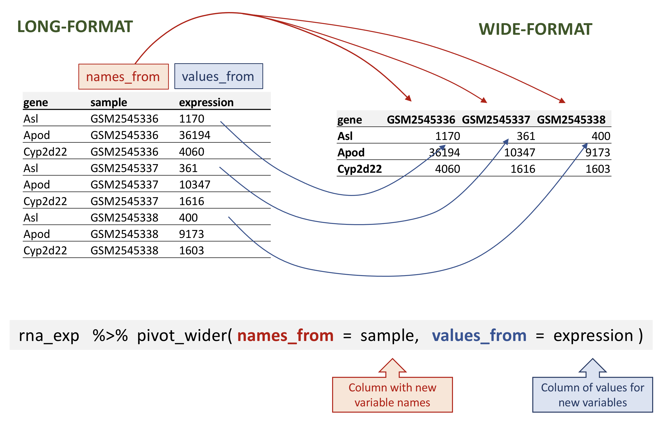 Wide pivot of the `rna` data.