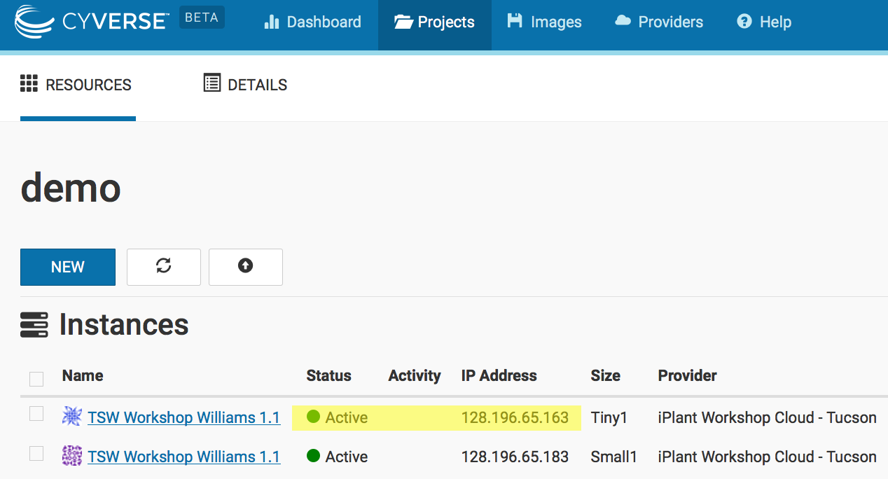 Columns in the Instances table display the Status, Activity, and IP Address of an instance