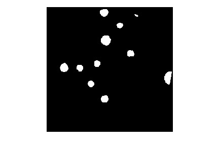 Binary mask of the bacteria colonies image