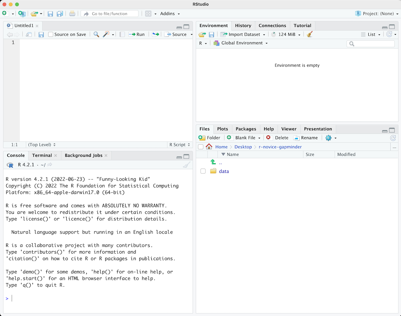 RStudio layout with .R file open